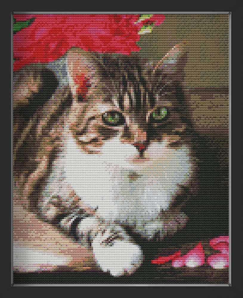Kreuzstich - Katze am liegen | 35x35 cm - Diy - Fadenkunst