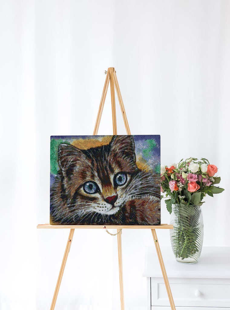 Katzen