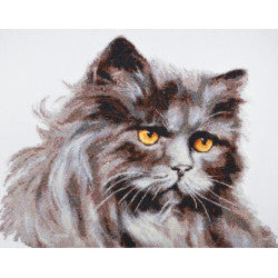 Kreuzstich | Katzenblicke -  33x26 cm