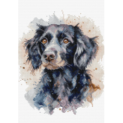 Kreuzstich inkl. Holzrahmen | Border Collie 17x20 cm