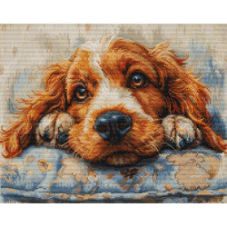 Kreuzstich | Süsser Cocker Spaniel -  32x25 cm