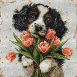 Kreuzstich | Cocker Spaniel Welpe -  27x27 cm
