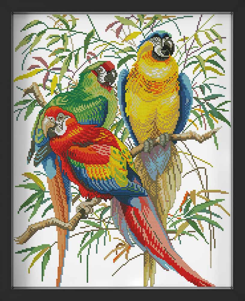 Kreuzstich - Papageien | 40x50 cm - Diy - Fadenkunst