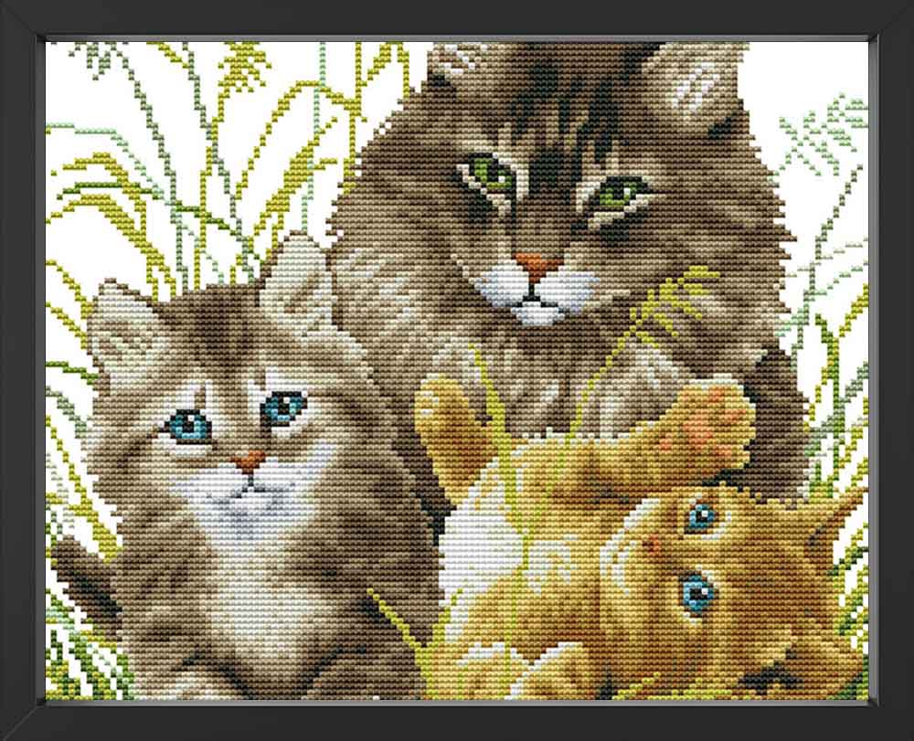 Kreuzstich - Katzenfamilie im grünen | 35x35 cm - Diy - Fadenkunst