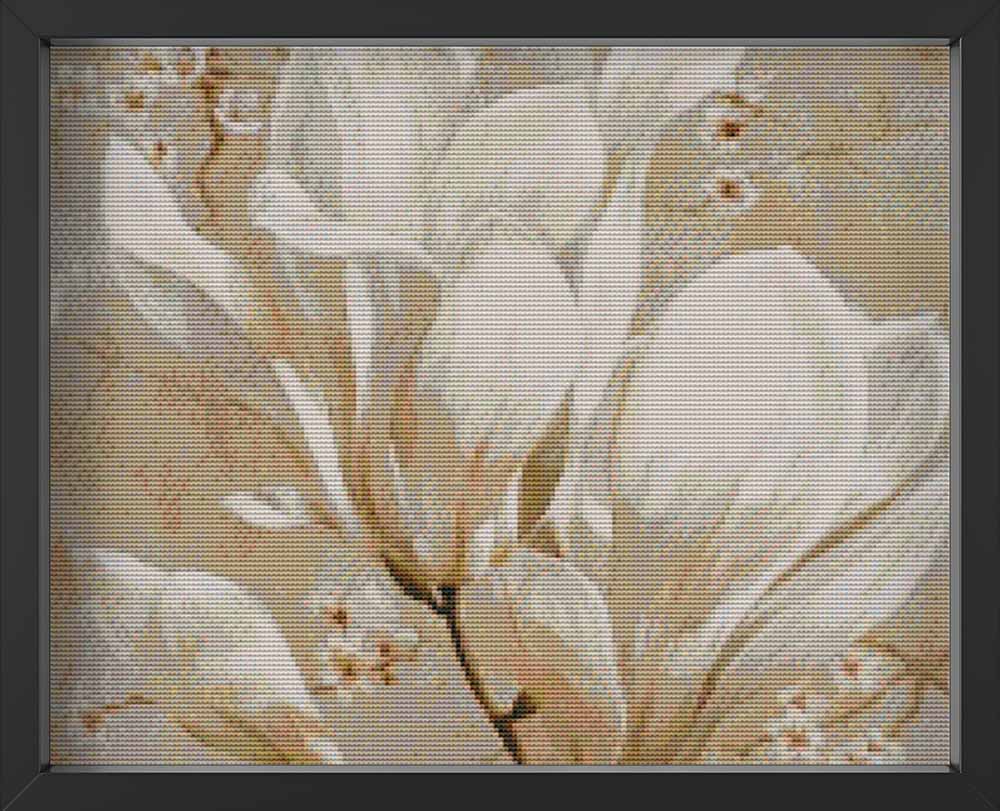 Kreuzstich - weiße Magnolie | 40x40 cm - Diy - Fadenkunst