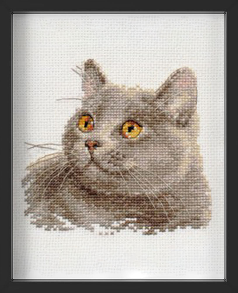 Kreuzstich - Britische Katze | 15x15 cm - Diy - Fadenkunst