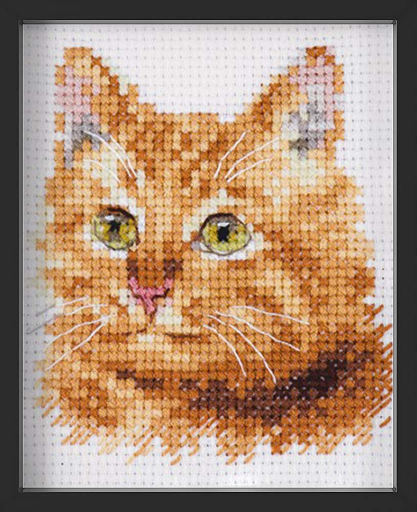 Kreuzstich - Tierportraits Ingwer Katze | 10x10 cm - Diy - Fadenkunst