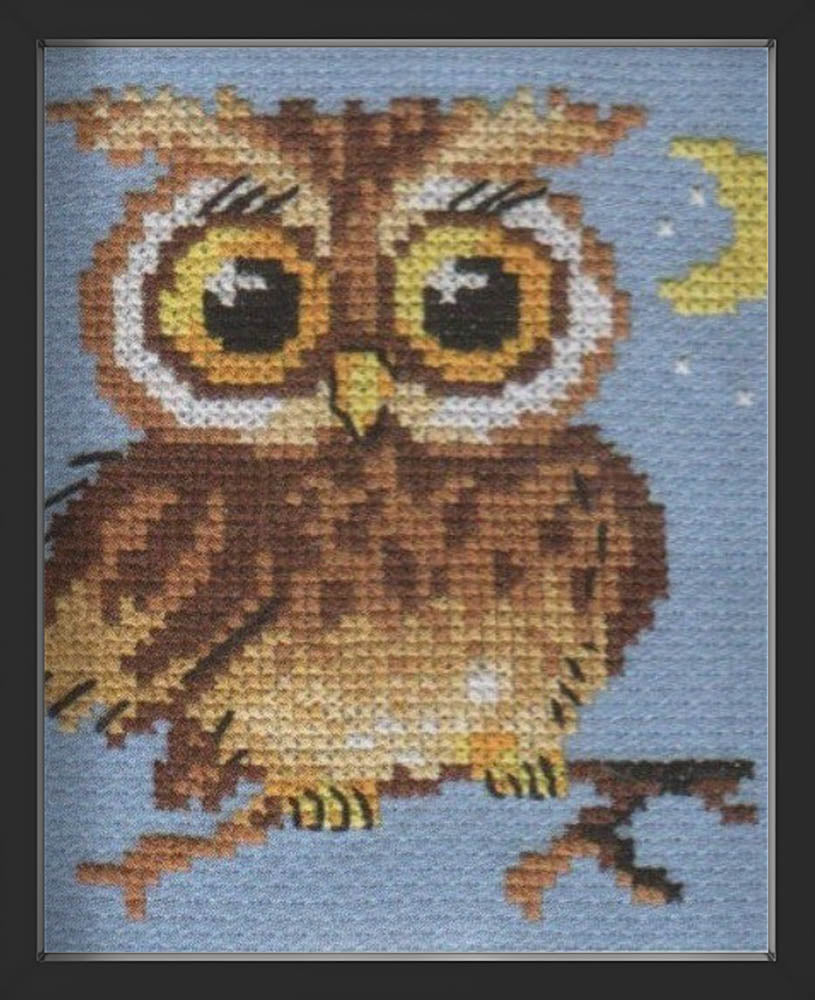 Kreuzstich - Steinkauz | 10x10 cm - Diy - Fadenkunst