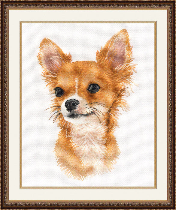 Kreuzstich - Little Friend - Chihuahua | 15x25 cm - Diy - Fadenkunst