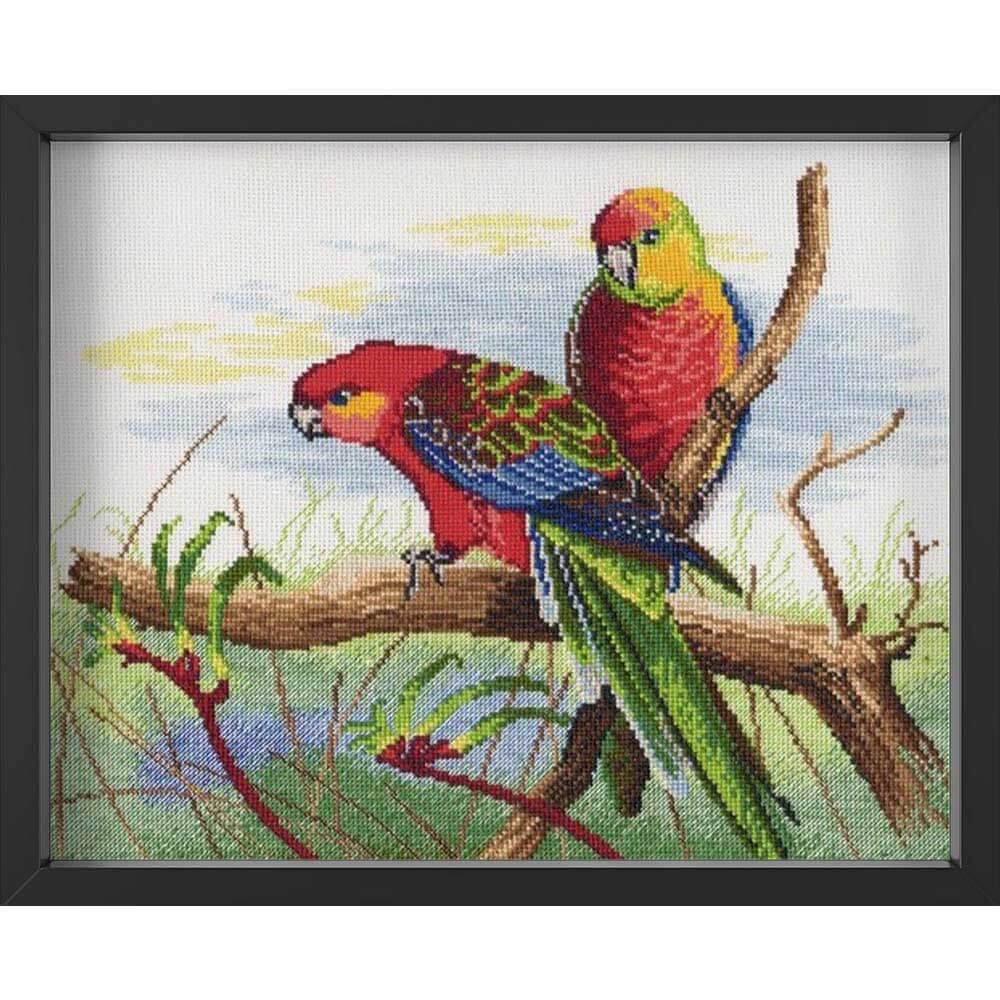 Kreuzstich - Zwei bunte Papageie | 30x22 cm - Diy - Fadenkunst