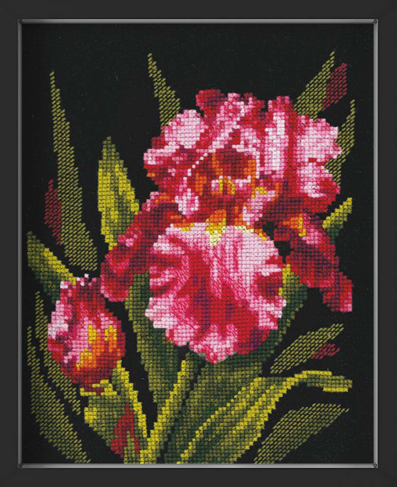 Kreuzstich - Samtschwertlilie | 20x25 cm - Diy - Fadenkunst