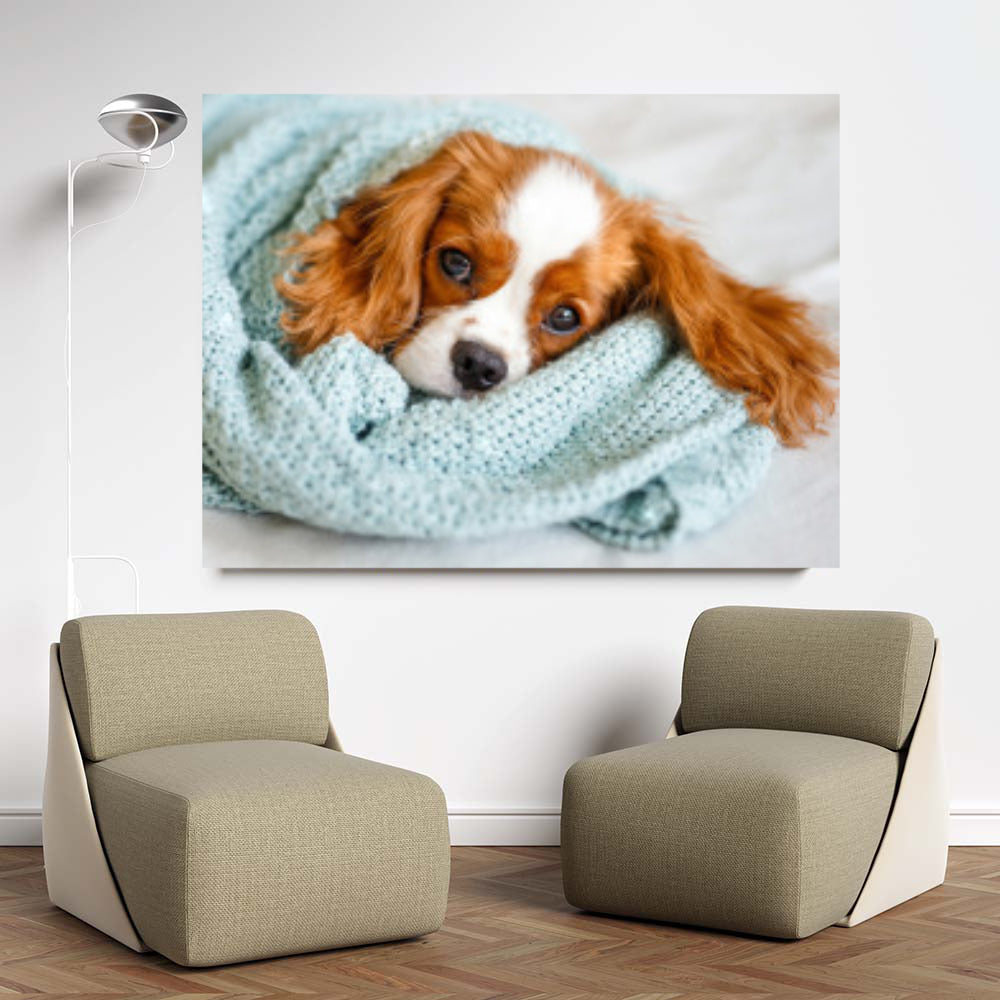 Diamond Painting - Kleiner Cocker Spaniel 2 | 40x30 cm