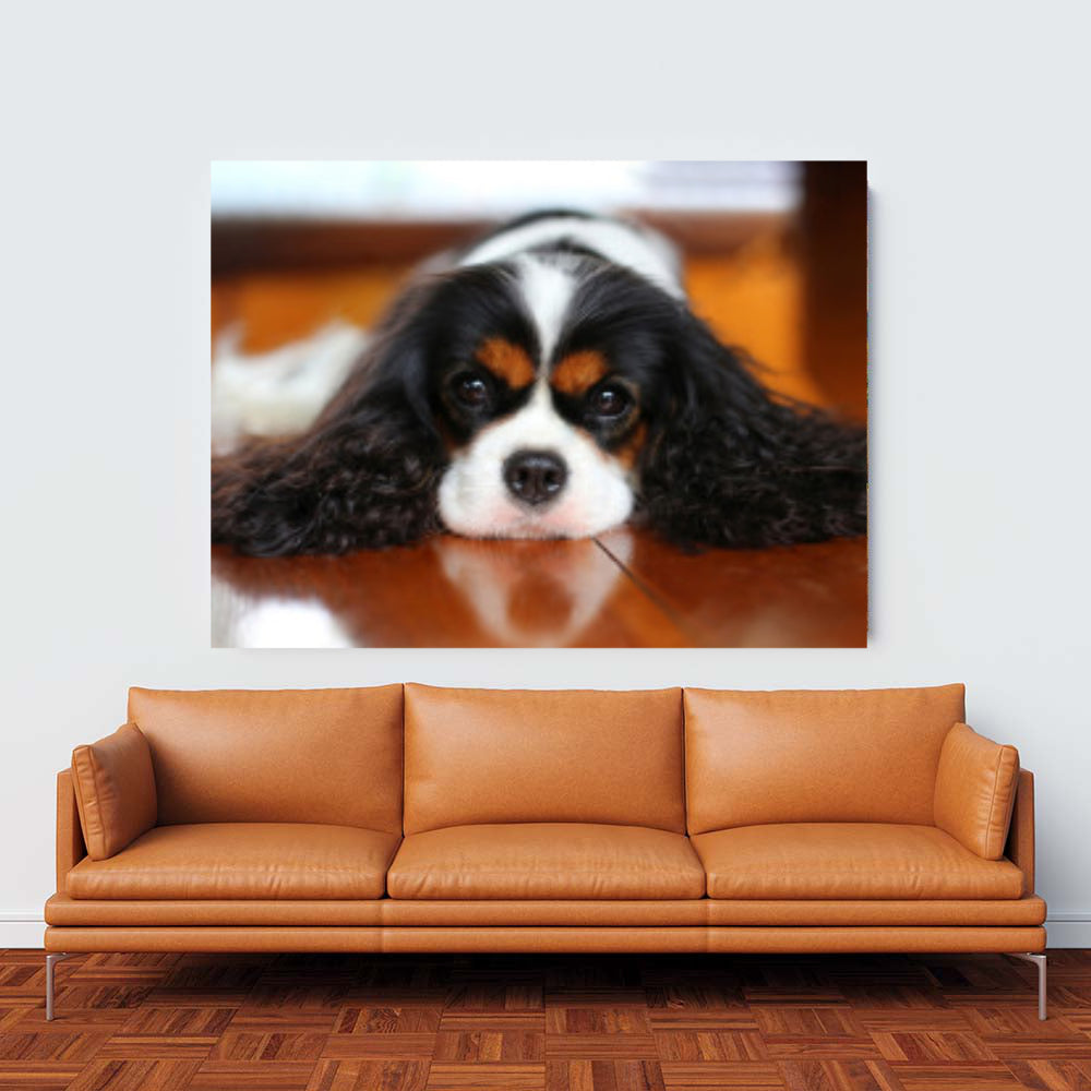 Diamond Painting - Kleiner Cocker Spaniel 1 | 30x40 cm