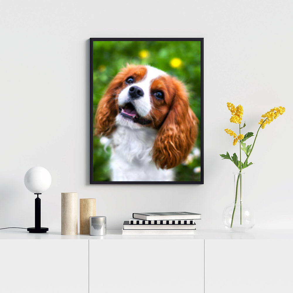 Diamond Painting - Kleiner Cocker Spaniel 3 | 30x40 cm