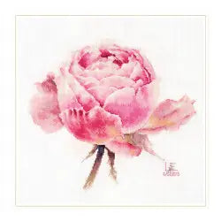 Kreuzstich - Aquarel Rosen - Exquisites Rosé  | 26x24 cm