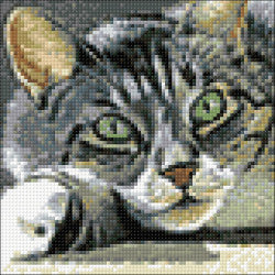 Diamond Painting - Katzenblick | 20x20 cm