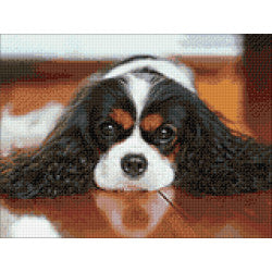 Diamond Painting - Kleiner Cocker Spaniel 1 | 30x40 cm