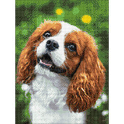 Diamond Painting - Kleiner Cocker Spaniel 3 | 30x40 cm